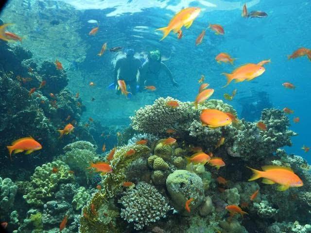 Blue Lagoon With Pool Eilat Quarto foto